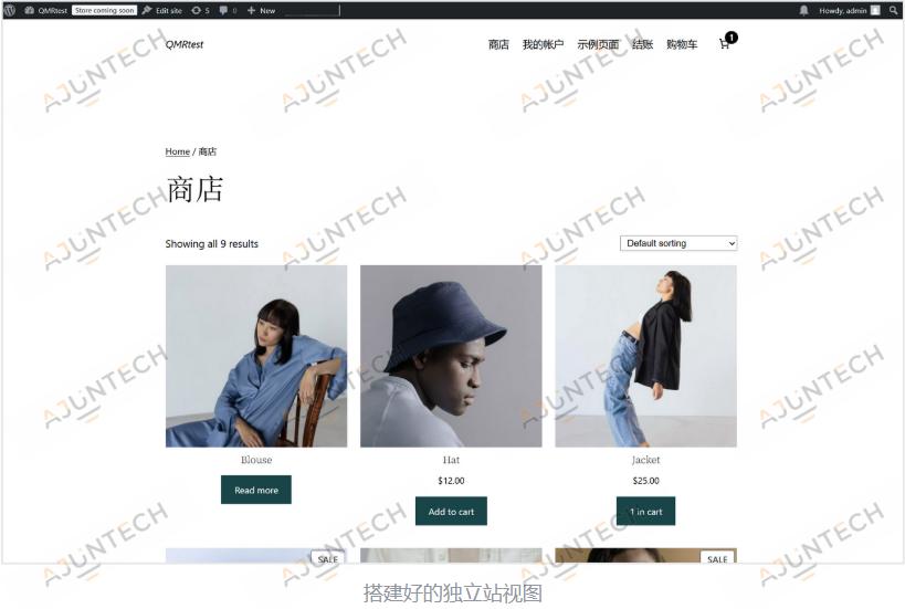 7分钟零代码快速搭建电商独立站！