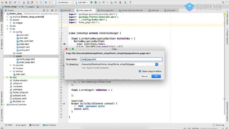 📚 Flutter女装商城实战（完整代码）