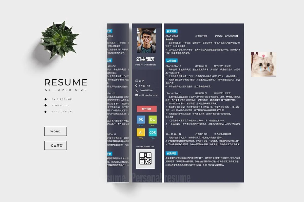 计算机二级Python资料 Python二级备考 真题详解 从零到精通 全面覆盖考纲核心考点，包含真...