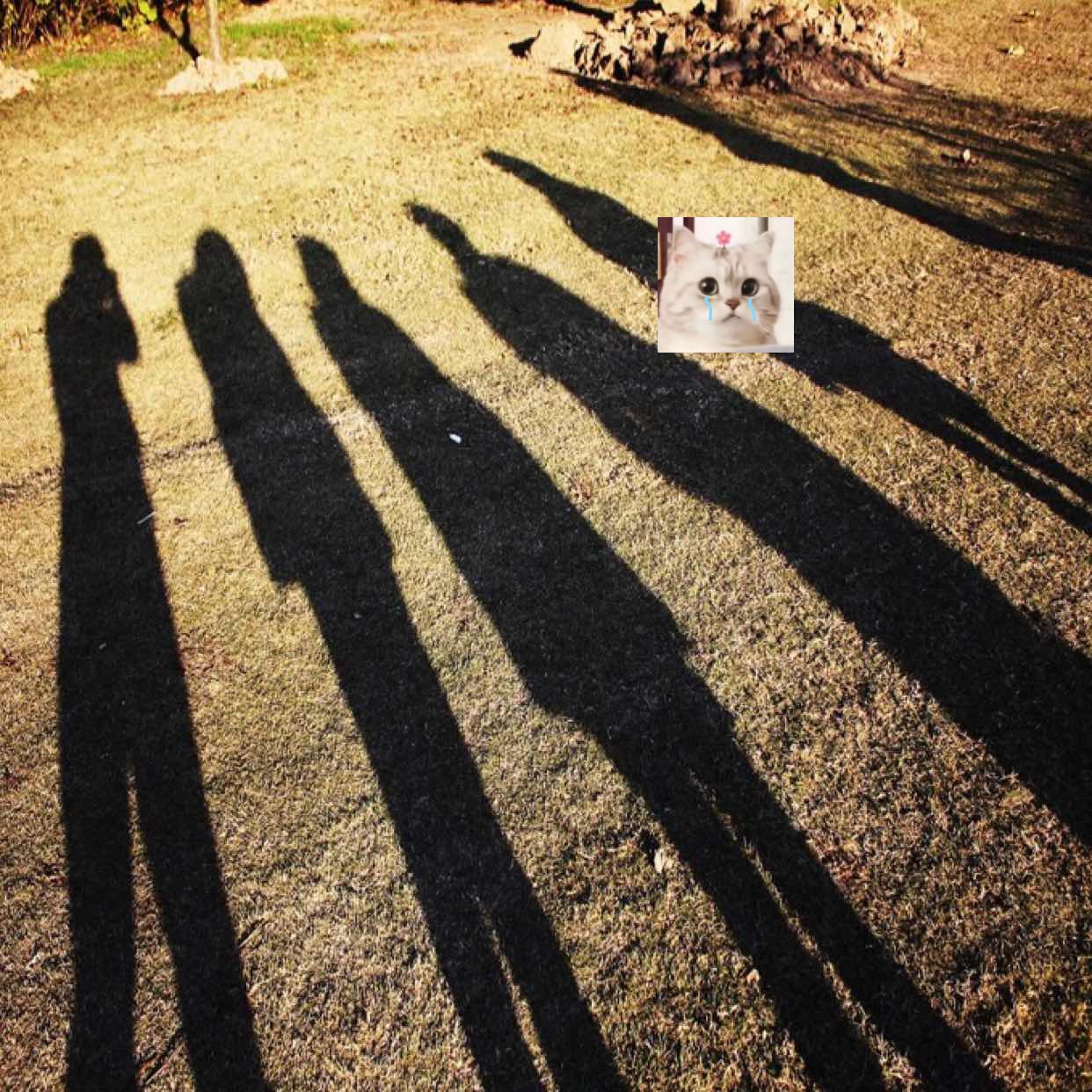 杨波-Spring Boot与Kubernetes云原生微服务实践 云原生 微服务架构 容器化部署 ...