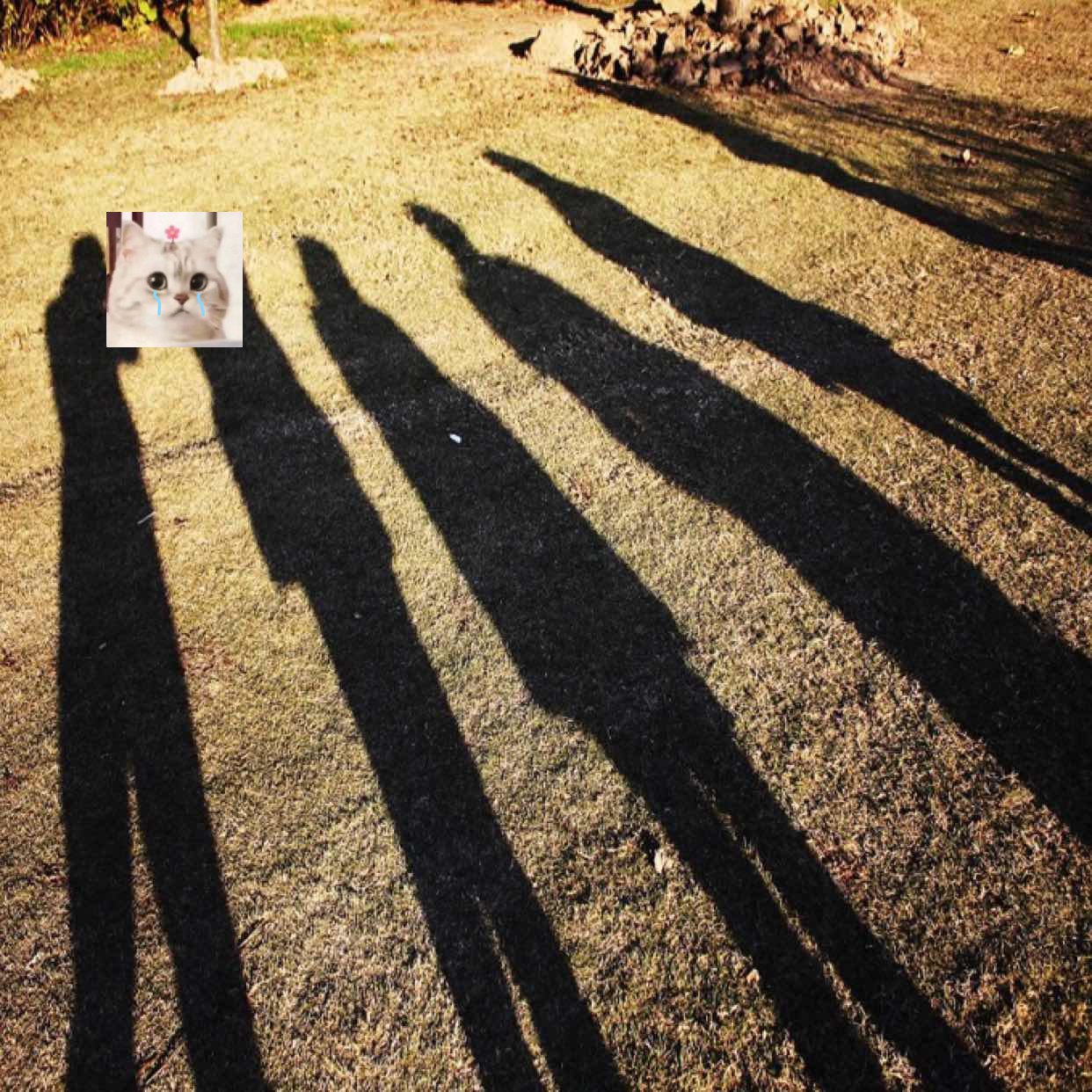 杨波-微服务架构实战160讲 微服务架构 SpringCloud 实战应用 本课程从微服务核心原理入...