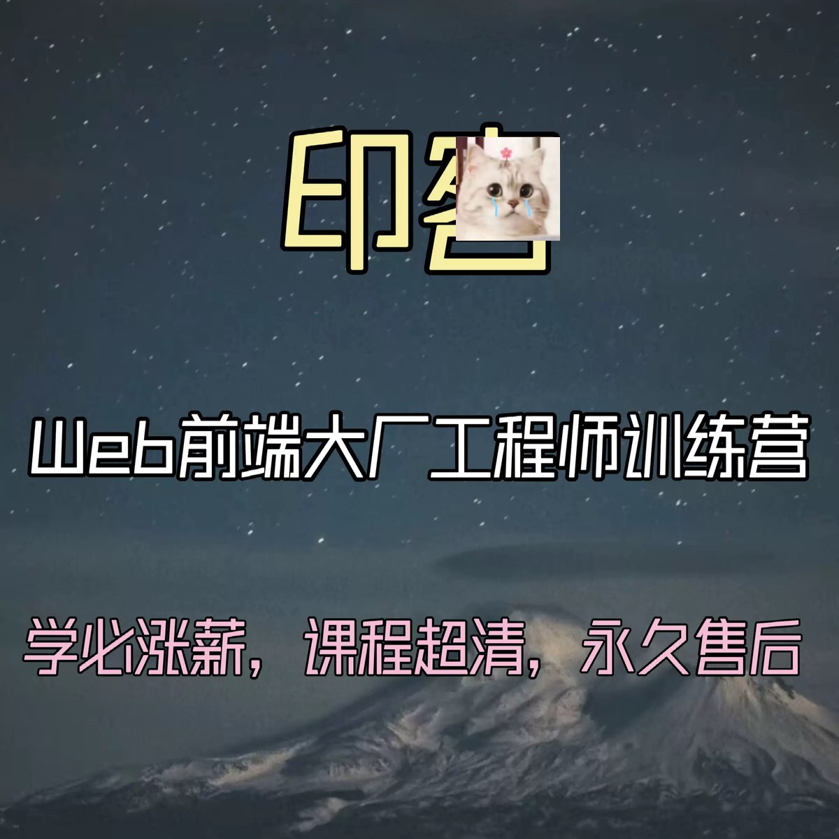 印客学院Web前端大厂工程师训练营 直达阿里P7-完结 大厂直通车 P7级进阶 实战驱动 课程深度对...