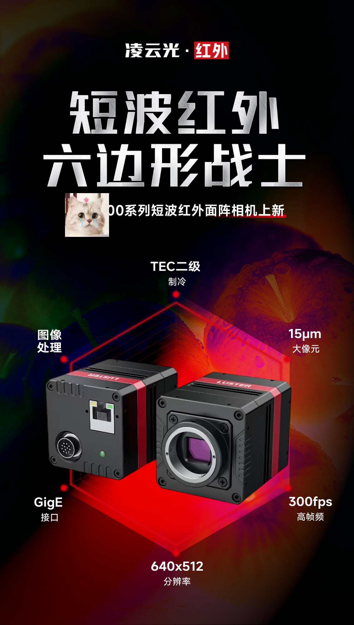 鑫路历程C++2万元课程 C++实战 大厂直通车 零基础高薪 课程由资深专家授课，覆盖C++核心与项...