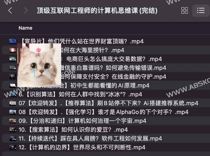 资源: 顶级互联网工程师的计算机思维课 从工程独家师思维出发，解析复杂系统本质，助《顶级互联网工程师...