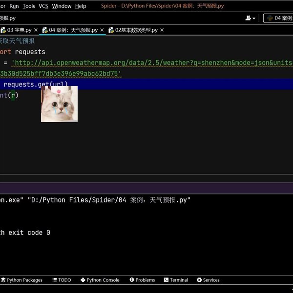夜猫编程Python爬虫JS逆向进阶课(录播课＋答疑)从零基础到高薪就业编程课 Python爬虫 J...