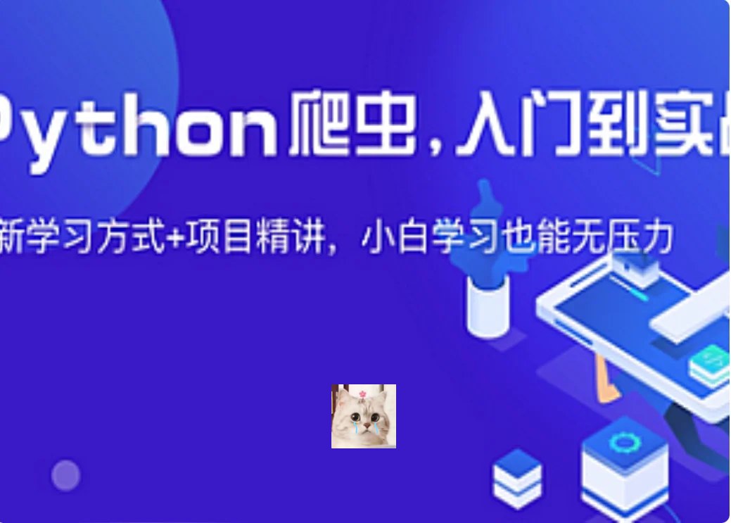 夜猫编程Python爬虫JS逆向进阶课(录播课＋答疑)从零基础到高薪就业编程课 Python爬虫 J...