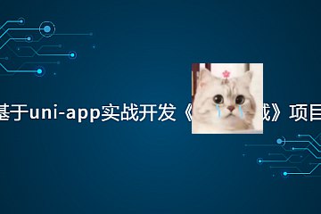 晖哥讲编程全套 - 价值过万 编程入门 实战项目 高薪技能 晖哥用通俗易懂的方式讲解编程核心知识，结...
